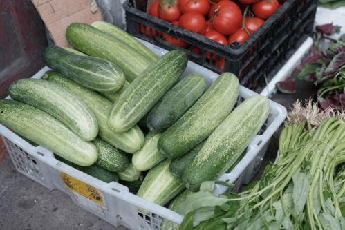 629吃瓜网怎么打不开