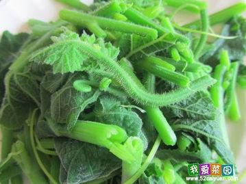 国内免费最大的吃瓜网