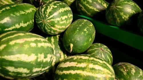 景区吃瓜网红事件,一场网络狂欢背后的争议与反思